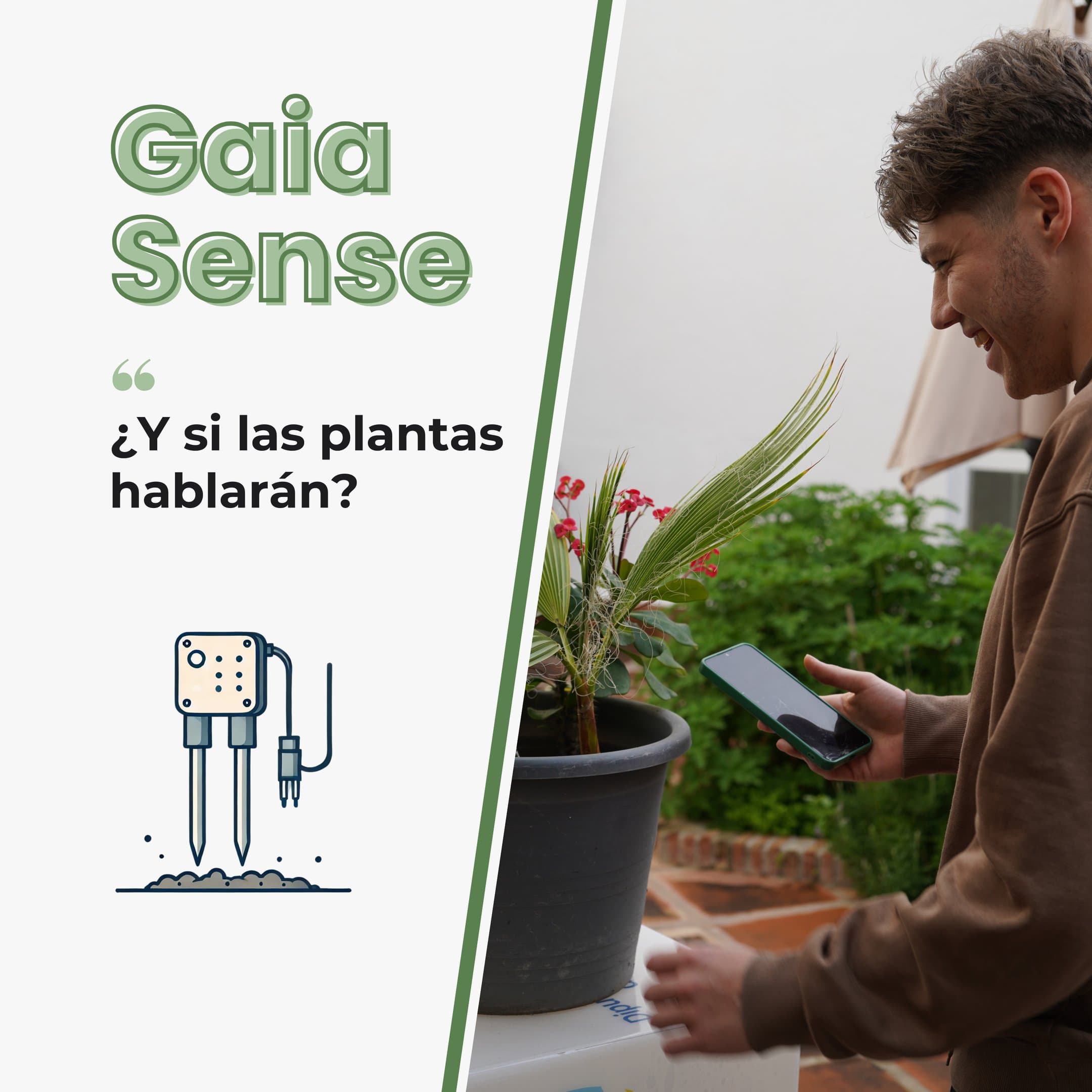 Coloca el sensor en tu planta